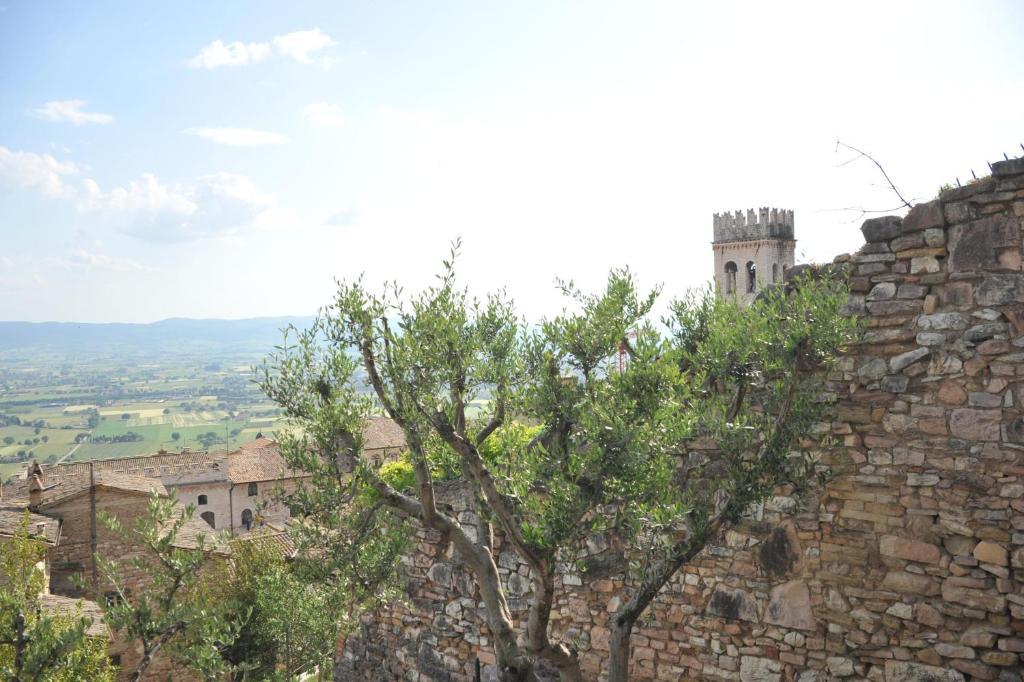 Vico Del Poeta Assisi